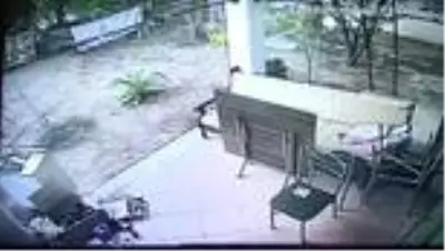Muğla'da kadının darbedilmesi güvenlik kamerasına yansıdı Muğla'da kadının darbedilmesi güvenlik kamerasına yansıdı