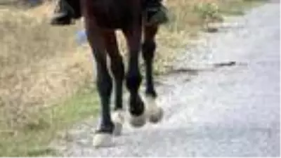 Nalçakar ailesi, 3 kuşaktır atlara nal çakıyor Nalçakar ailesi, 3 kuşaktır atlara nal çakıyor