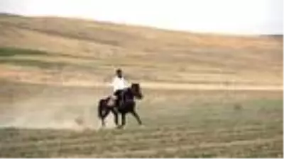 Nalçakar ailesi, 3 kuşaktır atlara nal çakıyor Nalçakar ailesi, 3 kuşaktır atlara nal çakıyor