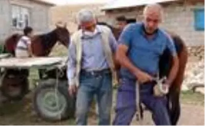 Nalçakar ailesi, 3 kuşaktır atlara nal çakıyor Nalçakar ailesi, 3 kuşaktır atlara nal çakıyor