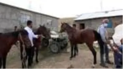 Nalçakar ailesi, 3 kuşaktır atlara nal çakıyor Nalçakar ailesi, 3 kuşaktır atlara nal çakıyor
