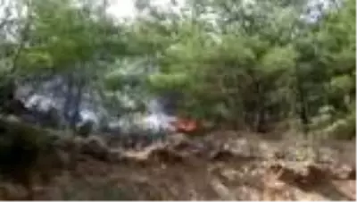 Otomobilde çıkan yangın ormanlık alana sıçradı Otomobilde çıkan yangın ormanlık alana sıçradı