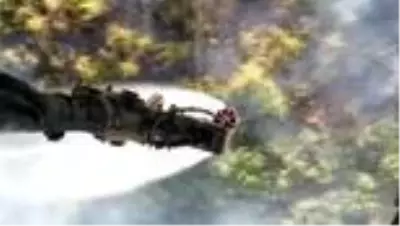 Otomobilde çıkan yangın ormanlık alana sıçradı (5) - ESKİŞEHİR Otomobilde çıkan yangın ormanlık alana sıçradı (5) - ESKİŞEHİR