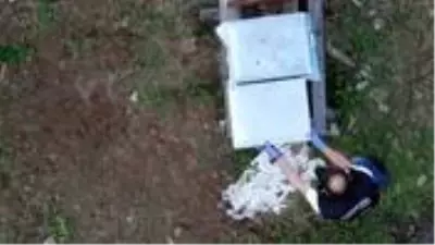 Polisi 'kraliçe arı var, aramayın' diyerek engellemeye çalıştı! Kovandan uyuşturucu çıktı Polisi 'kraliçe arı var, aramayın' diyerek engellemeye çalıştı! Kovandan uyuşturucu çıktı