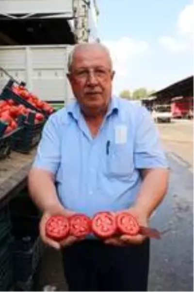 Salçalık domatesin kasası halde 15 lira Salçalık domatesin kasası halde 15 lira