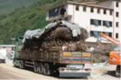 Selin vurduğu Dereli'de hayat normale döndü Selin vurduğu Dereli'de hayat normale döndü