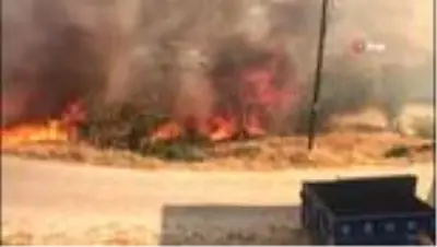 Sigara izmariti yangına neden oldu Sigara izmariti yangına neden oldu