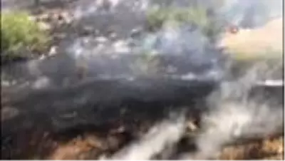 Sigara izmariti yangına neden oldu Sigara izmariti yangına neden oldu