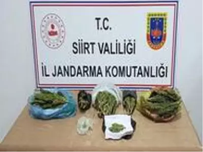 Siirt'te uyuşturucu taciri kıskıvrak yakalandı Siirt'te uyuşturucu taciri kıskıvrak yakalandı