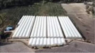 Suriyeli aileler için tarımsal destek projesi Suriyeli aileler için tarımsal destek projesi