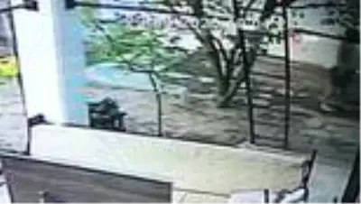 Tanımadığı kadını güpe gündüz bayıltana kadar böyle dövdü Tanımadığı kadını güpe gündüz bayıltana kadar böyle dövdü