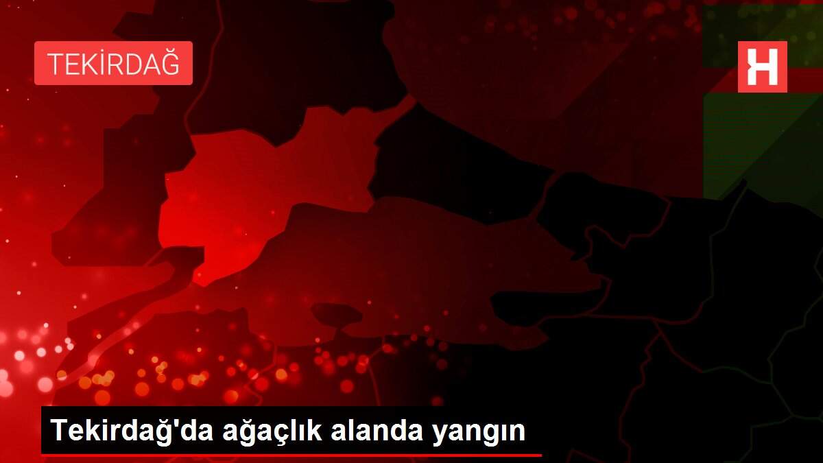 Son Dakika | Tekirdağ'da ağaçlık alanda yangın