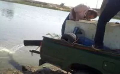 - Tel Abyad'daki göletlere 520 bin yavru sazan bırakıldı - Tel Abyad'daki göletlere 520 bin yavru sazan bırakıldı