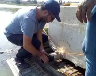 - Tel Abyad'daki göletlere 520 bin yavru sazan bırakıldı - Tel Abyad'daki göletlere 520 bin yavru sazan bırakıldı