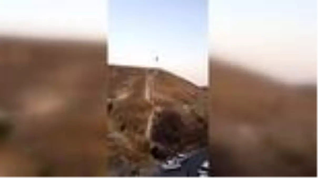 Türk bayrağını indirmeye çalıştığı iddia edilen kişi gözaltına alındı