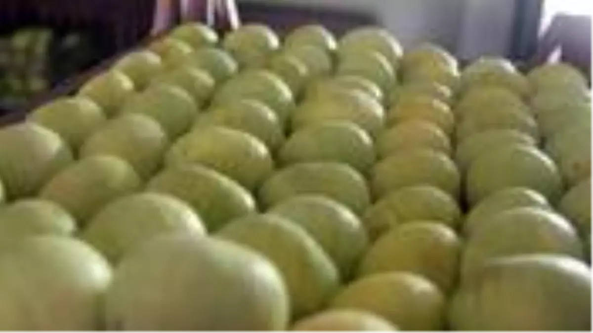 Türkiye incir ihracatından 2 ayda 39 milyon dolar kazandı