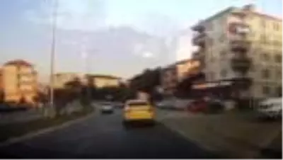 Yola fırlayan inekler kazaya sebep oluyordu Yola fırlayan inekler kazaya sebep oluyordu