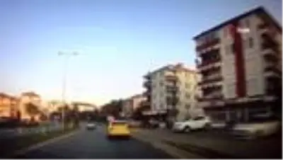 Yola fırlayan inekler kazaya sebep oluyordu Yola fırlayan inekler kazaya sebep oluyordu