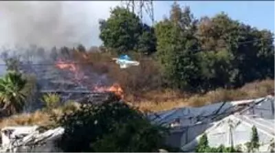 Alanya'da çalılık alanda yangın Alanya'da çalılık alanda yangın