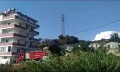 Alanya'da çalılık alanda yangın Alanya'da çalılık alanda yangın