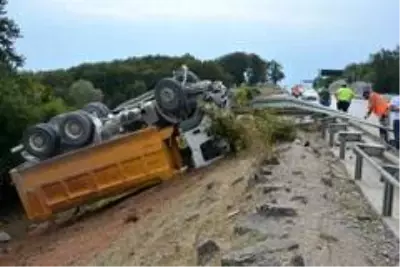 Aracına arı girince kaza yaptı: 1 yaralı Aracına arı girince kaza yaptı: 1 yaralı
