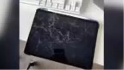 Avusturalya'da kedi tabletle onlarca selfie 'çekmiş' Avusturalya'da kedi tabletle onlarca selfie 'çekmiş'