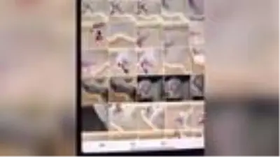 Avusturalya'da kedi tabletle onlarca selfie 'çekmiş' Avusturalya'da kedi tabletle onlarca selfie 'çekmiş'