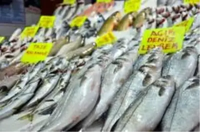 Balık sezonunun açılmasıyla birlikte denetimler başladı Balık sezonunun açılmasıyla birlikte denetimler başladı