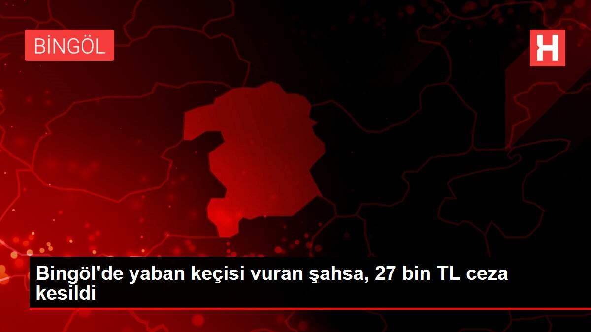 Bingöl'de yaban keçisi vuran şahsa, 27 bin TL ceza kesildi Bingöl'de yaban keçisi vuran şahsa, 27 bin TL ceza kesildi