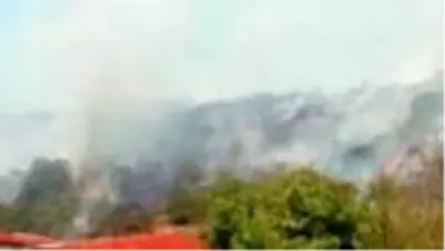Son dakika haberi... Çalılık yangını kontrol altına alındı Son dakika haberi... Çalılık yangını kontrol altına alındı