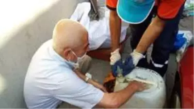 Çöp evden bidon bidon madeni ve kağıt para çıktı Çöp evden bidon bidon madeni ve kağıt para çıktı