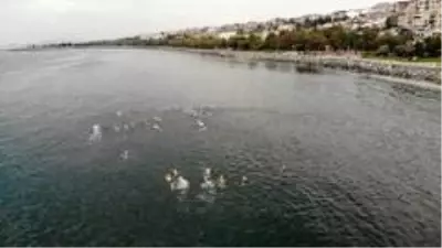 Dünyaca Ünlü yüzücü Michael Read Avcılar'da kulaç attı Dünyaca Ünlü yüzücü Michael Read Avcılar'da kulaç attı