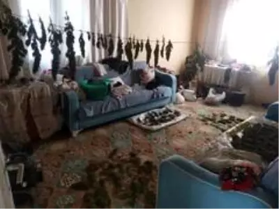 Evinde uyuşturucu imal ederken suçüstü yakalandı Evinde uyuşturucu imal ederken suçüstü yakalandı
