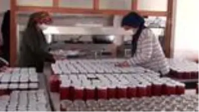 Güdül'de kadın muhtar öncülüğünde kurulan kooperatif üretime geçti Güdül'de kadın muhtar öncülüğünde kurulan kooperatif üretime geçti