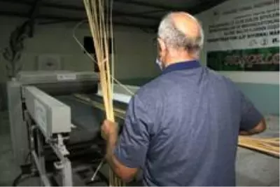Kenevir, keten ve ısırgan tarımındaki en büyük engel ortadan kalktı Kenevir, keten ve ısırgan tarımındaki en büyük engel ortadan kalktı