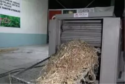 Kenevir, keten ve ısırgan tarımındaki en büyük engel ortadan kalktı Kenevir, keten ve ısırgan tarımındaki en büyük engel ortadan kalktı