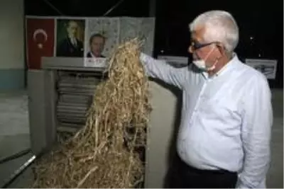 Kenevir, keten ve ısırgan tarımındaki en büyük engel ortadan kalktı Kenevir, keten ve ısırgan tarımındaki en büyük engel ortadan kalktı