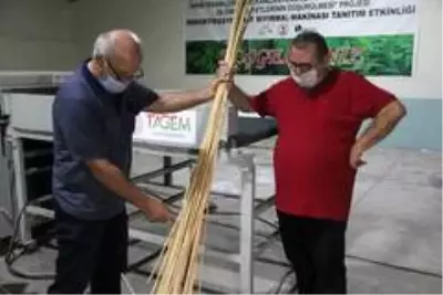 Kenevir, keten ve ısırgan tarımındaki en büyük engel ortadan kalktı Kenevir, keten ve ısırgan tarımındaki en büyük engel ortadan kalktı