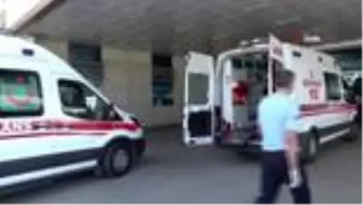 Kestane toplarken uçurumdan 25 metreden aşağıya yuvarlandı Kestane toplarken uçurumdan 25 metreden aşağıya yuvarlandı