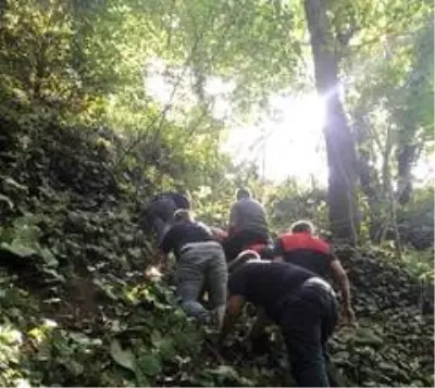 Kestane toplarken uçurumdan 25 metreden aşağıya yuvarlandı Kestane toplarken uçurumdan 25 metreden aşağıya yuvarlandı