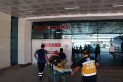 Kestane toplarken uçurumdan 25 metreden aşağıya yuvarlandı Kestane toplarken uçurumdan 25 metreden aşağıya yuvarlandı