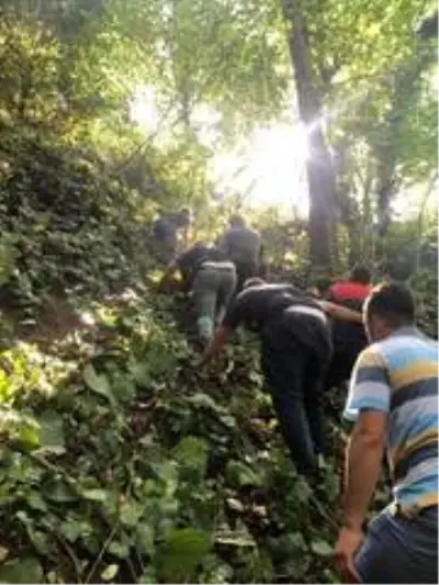 Kestane toplarken uçurumdan 25 metreden aşağıya yuvarlandı Kestane toplarken uçurumdan 25 metreden aşağıya yuvarlandı