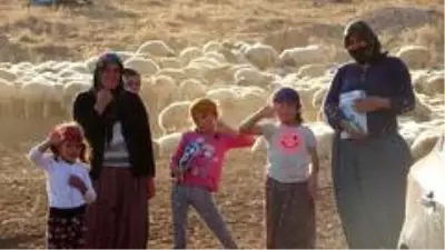 Koyunların peşinde hayallerine koşuyorlar Koyunların peşinde hayallerine koşuyorlar