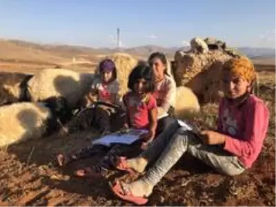 Koyunların peşinde hayallerine koşuyorlar Koyunların peşinde hayallerine koşuyorlar