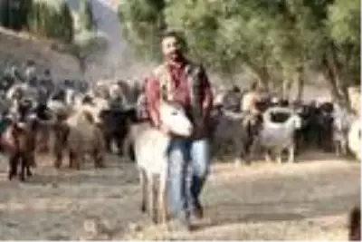 Kucağında sıpayla çektiği görüntüler, yoğun ilgi gördü