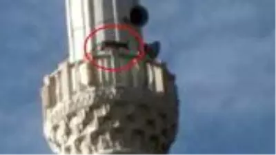 Yolunu şaşıran tilki minareye çıktı! Kurtuluş hikayesi de en az olay kadar ilginç Yolunu şaşıran tilki minareye çıktı! Kurtuluş hikayesi de en az olay kadar ilginç