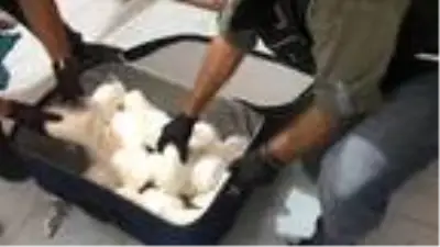 Son dakika haberleri! Mersin'de 12 kilogram metamfetamine 8 gözaltı Son dakika haberleri! Mersin'de 12 kilogram metamfetamine 8 gözaltı