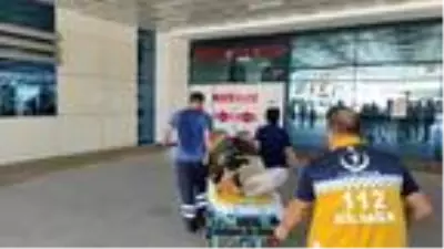 Ormanda kestane toplarken uçuruma yuvarlandı Ormanda kestane toplarken uçuruma yuvarlandı