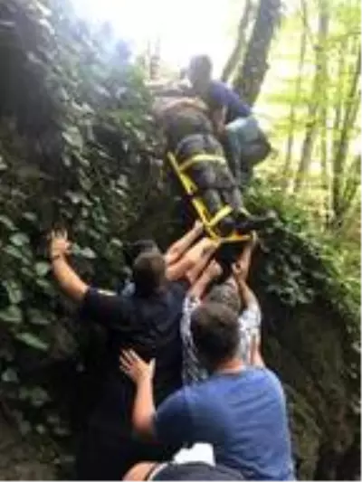 Ormanda kestane toplarken uçuruma yuvarlandı Ormanda kestane toplarken uçuruma yuvarlandı