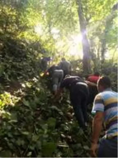 Ormanda kestane toplarken uçuruma yuvarlandı Ormanda kestane toplarken uçuruma yuvarlandı